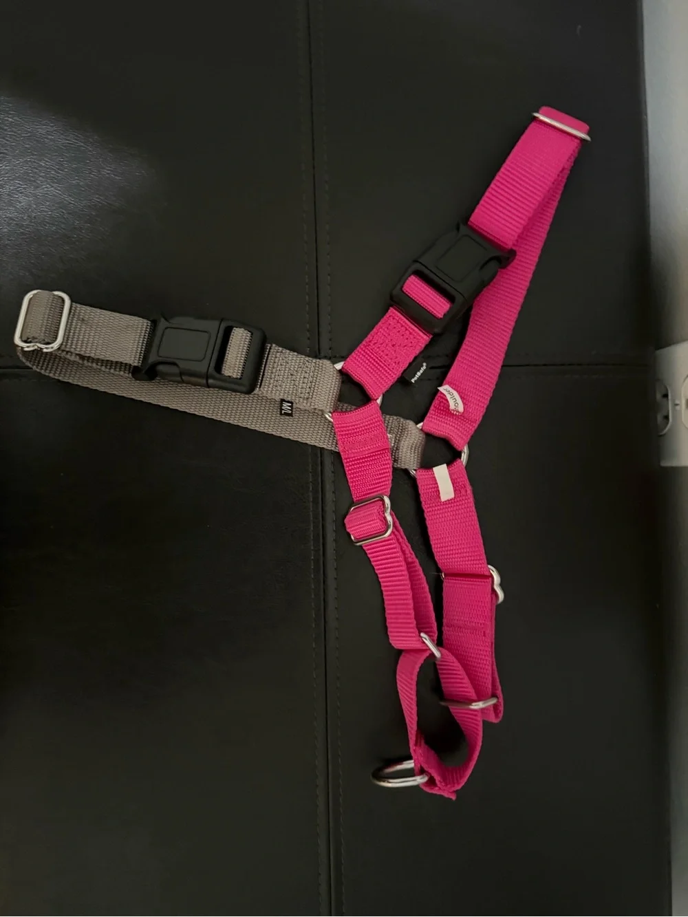 PetSafe Easy Walk Dog Harness, Raspberry/Gray, Medium/Large